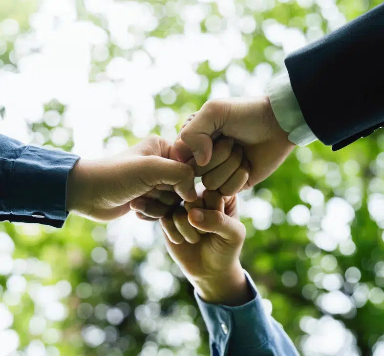 Entegre Yönetim Sistemi