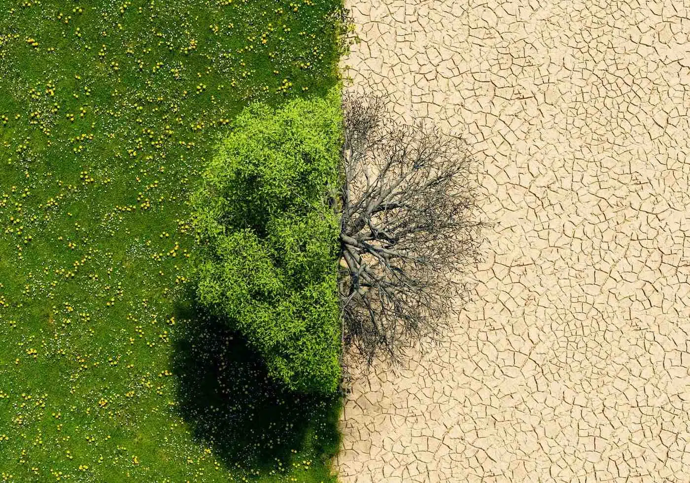 İklim Değişikliği Çalışmaları