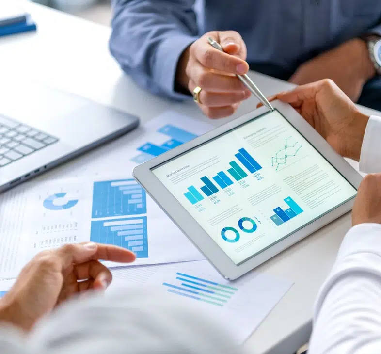 Borçlanma Araçları İhracı