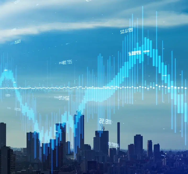 Halka Arza Hazırlık Çalışması